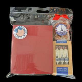 PP透明手提夾鏈平袋(350*350+40mm)(50入/包)TWB006